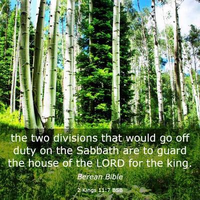 Picture 03 - 2 Kings 11:7 BSB - the two divisions that would go off duty on the - Bible Verse Picture