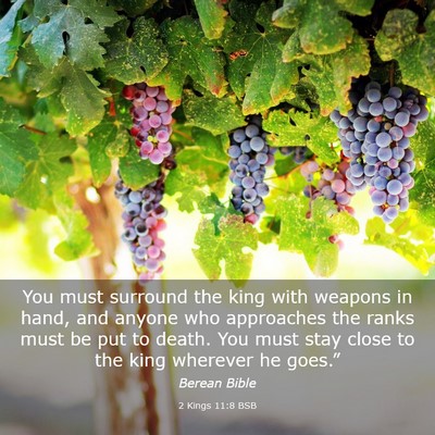 Picture 03 - 2 Kings 11:8 BSB - You must surround the king with weapons in hand, - Bible Verse Picture