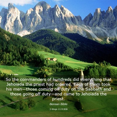 Picture 03 - 2 Kings 11:9 BSB - So the commanders of hundreds did everything that - Bible Verse Picture