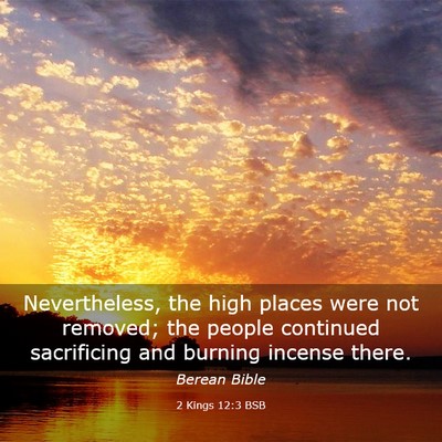 Picture 03 - 2 Kings 12:3 BSB - Nevertheless, the high places were not removed; - Bible Verse Picture