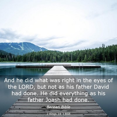 Picture 03 - 2 Kings 14:3 BSB - And he did what was right in the eyes of the - Bible Verse Picture