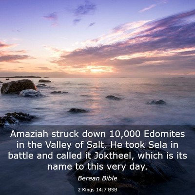 Picture 03 - 2 Kings 14:7 BSB - Amaziah struck down 10,000 Edomites in the Valley - Bible Verse Picture