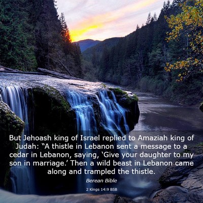 Picture 03 - 2 Kings 14:9 BSB - But Jehoash king of Israel replied to Amaziah - Bible Verse Picture