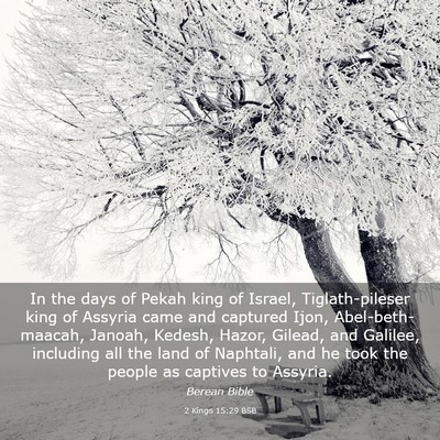 Picture 03 - 2 Kings 15:29 BSB - In the days of Pekah king of Israel, - Bible Verse Picture