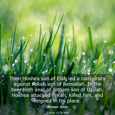 Picture 03 - 2 Kings 15:30 BSB - Then Hoshea son of Elah led a conspiracy against - Bible Verse Picture