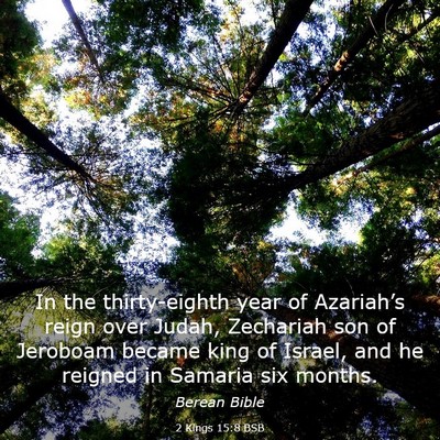 Picture 03 - 2 Kings 15:8 BSB - In the thirty-eighth year of Azariah’s reign - Bible Verse Picture