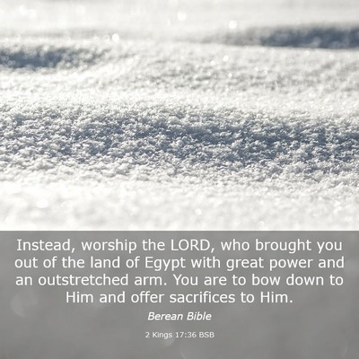 Picture 03 - 2 Kings 17:36 BSB - Instead, worship the LORD, who brought you out of - Bible Verse Picture