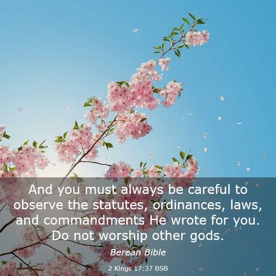 Picture 03 - 2 Kings 17:37 BSB - And you must always be careful to observe the - Bible Verse Picture