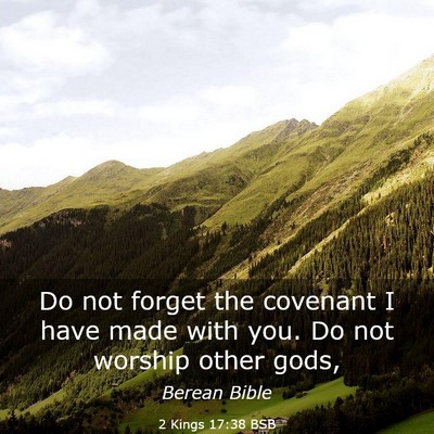 Picture 03 - 2 Kings 17:38 BSB - Do not forget the covenant I have made with you. - Bible Verse Picture