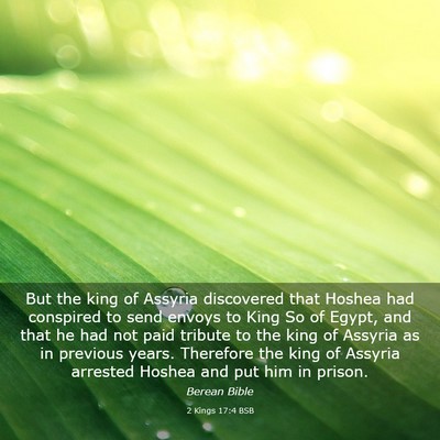 Picture 03 - 2 Kings 17:4 BSB - But the king of Assyria discovered that Hoshea - Bible Verse Picture