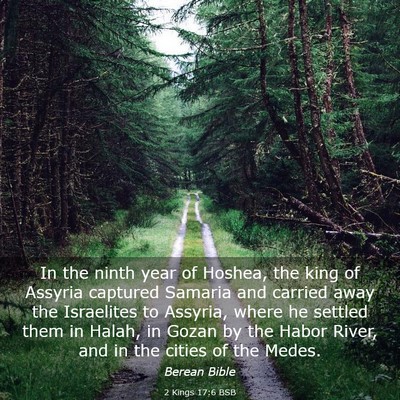 Picture 03 - 2 Kings 17:6 BSB - In the ninth year of Hoshea, the king of Assyria - Bible Verse Picture