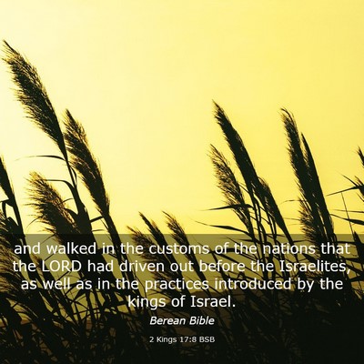 Picture 03 - 2 Kings 17:8 BSB - and walked in the customs of the nations that the - Bible Verse Picture