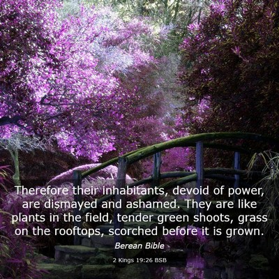 Picture 03 - 2 Kings 19:26 BSB - Therefore their inhabitants, devoid of power, are - Bible Verse Picture