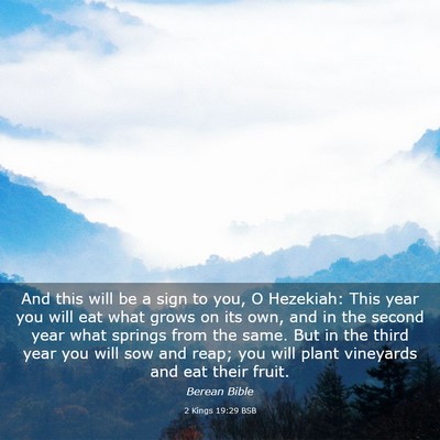 Picture 03 - 2 Kings 19:29 BSB - And this will be a sign to you, O Hezekiah: This - Bible Verse Picture