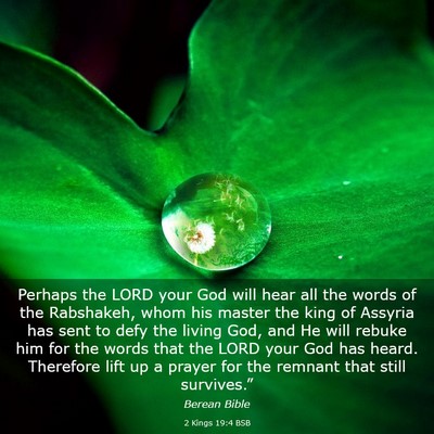 Picture 03 - 2 Kings 19:4 BSB - Perhaps the LORD your God will hear all the words - Bible Verse Picture