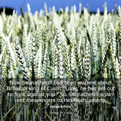 Picture 03 - 2 Kings 19:9 BSB - Now Sennacherib had been warned about Tirhakah - Bible Verse Picture