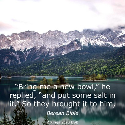 Picture 03 - 2 Kings 2:20 BSB - “Bring me a new bowl,” he replied, “and put - Bible Verse Picture