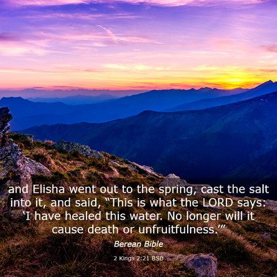 Picture 03 - 2 Kings 2:21 BSB - and Elisha went out to the spring, cast the salt - Bible Verse Picture