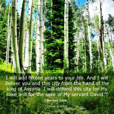 Picture 03 - 2 Kings 20:6 BSB - I will add fifteen years to your life. And I will - Bible Verse Picture