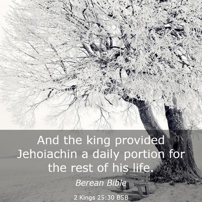 Picture 03 - 2 Kings 25:30 BSB - And the king provided Jehoiachin a daily portion - Bible Verse Picture