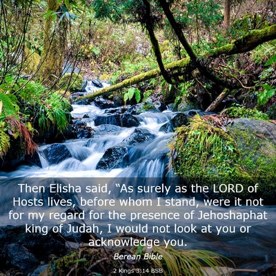 Picture 03 - 2 Kings 3:14 BSB - Then Elisha said, “As surely as the LORD of - Bible Verse Picture