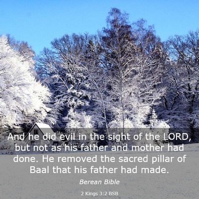 Picture 03 - 2 Kings 3:2 BSB - And he did evil in the sight of the LORD, but not - Bible Verse Picture