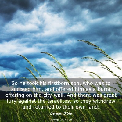 Picture 03 - 2 Kings 3:27 BSB - So he took his firstborn son, who was to succeed - Bible Verse Picture