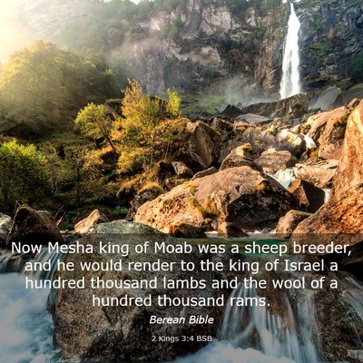 Picture 03 - 2 Kings 3:4 BSB - Now Mesha king of Moab was a sheep breeder, and - Bible Verse Picture