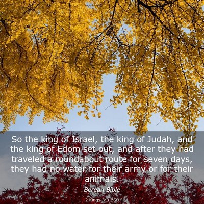Picture 03 - 2 Kings 3:9 BSB - So the king of Israel, the king of Judah, and the - Bible Verse Picture