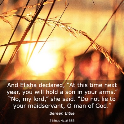 Picture 03 - 2 Kings 4:16 BSB - And Elisha declared, “At this time next year, - Bible Verse Picture
