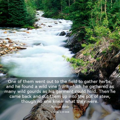 Picture 03 - 2 Kings 4:39 BSB - One of them went out to the field to gather - Bible Verse Picture