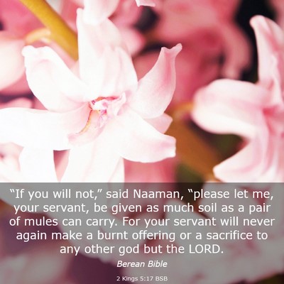 Picture 03 - 2 Kings 5:17 BSB - “If you will not,” said Naaman, “please let - Bible Verse Picture