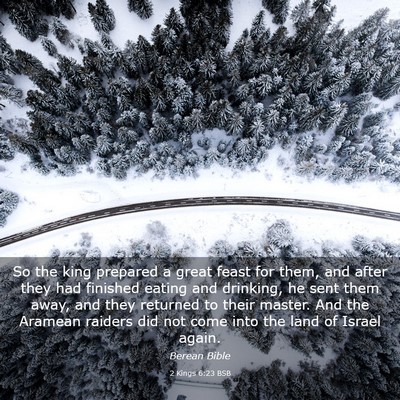 Picture 03 - 2 Kings 6:23 BSB - So the king prepared a great feast for them, and - Bible Verse Picture