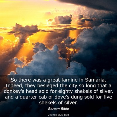 Picture 03 - 2 Kings 6:25 BSB - So there was a great famine in Samaria. Indeed, - Bible Verse Picture