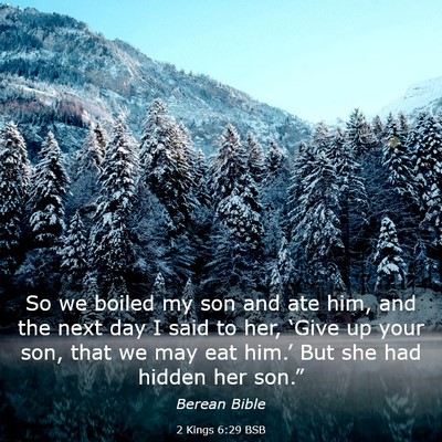 Picture 03 - 2 Kings 6:29 BSB - So we boiled my son and ate him, and the next day - Bible Verse Picture