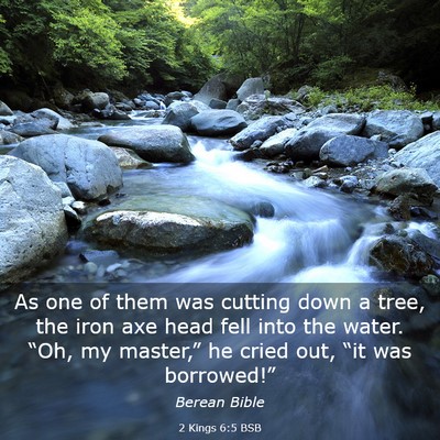 Picture 03 - 2 Kings 6:5 BSB - As one of them was cutting down a tree, the iron - Bible Verse Picture