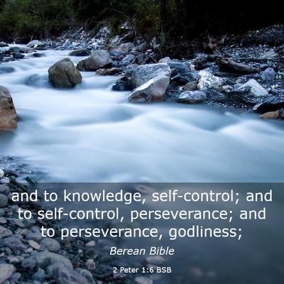 Picture 03 - 2 Peter 1:6 BSB - and to knowledge, self-control; and to - Bible Verse Picture