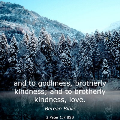 Picture 03 - 2 Peter 1:7 BSB - and to godliness, brotherly kindness; and to - Bible Verse Picture