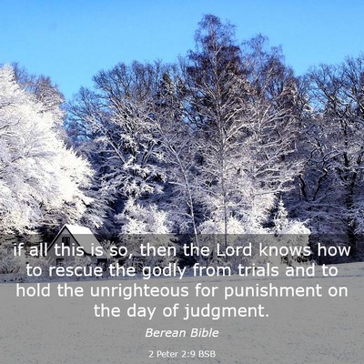 Picture 03 - 2 Peter 2:9 BSB - if all this is so, then the Lord knows how to - Bible Verse Picture