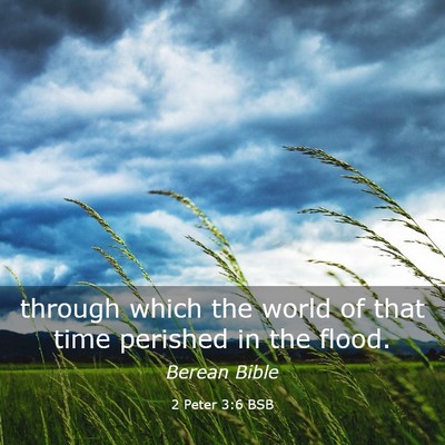 Picture 03 - 2 Peter 3:6 BSB - through which the world of that time perished in - Bible Verse Picture
