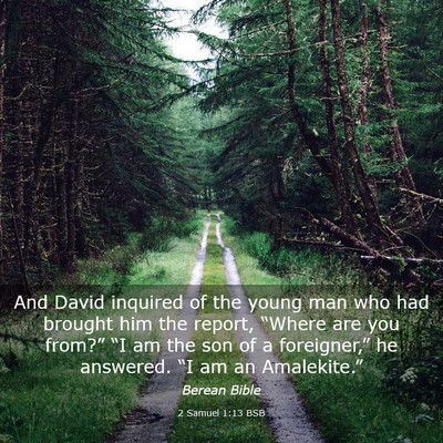 Picture 03 - 2 Samuel 1:13 BSB - And David inquired of the young man who had - Bible Verse Picture