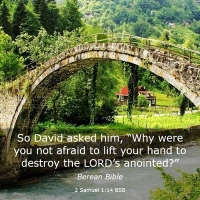 Picture 03 - 2 Samuel 1:14 BSB - So David asked him, “Why were you not afraid to - Bible Verse Picture