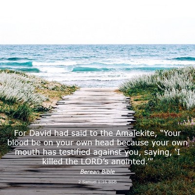 Picture 03 - 2 Samuel 1:16 BSB - For David had said to the Amalekite, “Your - Bible Verse Picture