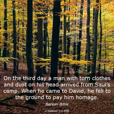 Picture 03 - 2 Samuel 1:2 BSB - On the third day a man with torn clothes and dust - Bible Verse Picture