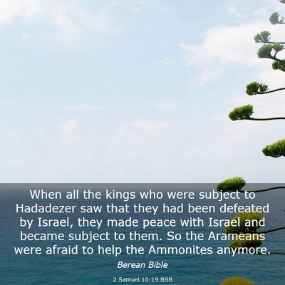Picture 03 - 2 Samuel 10:19 BSB - When all the kings who were subject to Hadadezer - Bible Verse Picture