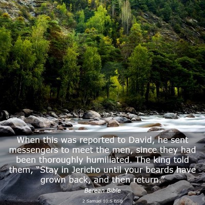 Picture 03 - 2 Samuel 10:5 BSB - When this was reported to David, he sent - Bible Verse Picture