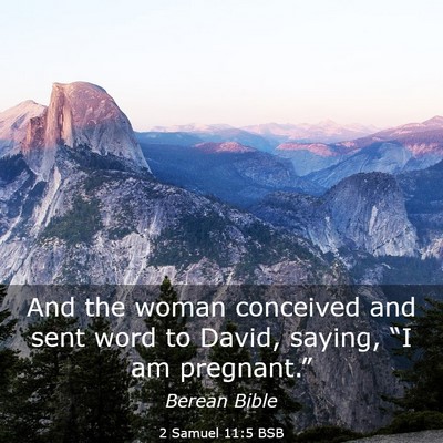 Picture 03 - 2 Samuel 11:5 BSB - And the woman conceived and sent word to David, - Bible Verse Picture