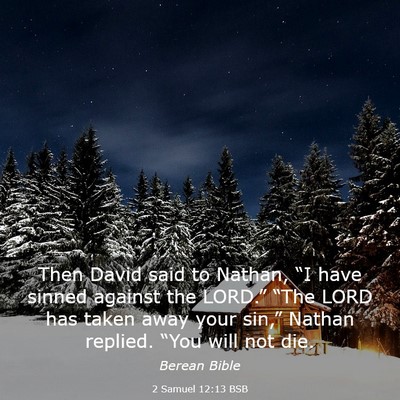 Picture 03 - 2 Samuel 12:13 BSB - Then David said to Nathan, “I have sinned - Bible Verse Picture