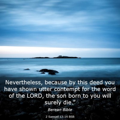 Picture 03 - 2 Samuel 12:14 BSB - Nevertheless, because by this deed you have shown - Bible Verse Picture