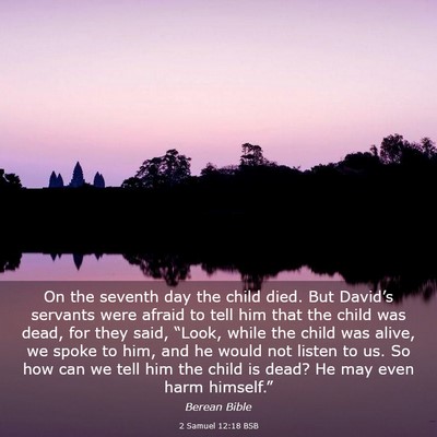 Picture 03 - 2 Samuel 12:18 BSB - On the seventh day the child died. But David’s - Bible Verse Picture